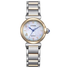 Montre Unisexe Citizen EM1136-87D
