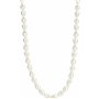 Collier Femme Ti Sento 3994PW/42