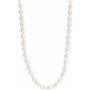Collier Femme Ti Sento 3994PW/42