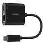 Câble USB Belkin INC019BTBK Noir