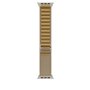 Bracelet pour montre Apple MXN23ZM/A