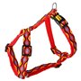 Harnais pour Chien Dingo                                 Rouge Multi M