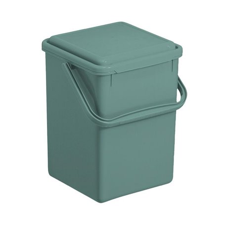 Bol de stockage Rotho                                 Vert 9 L