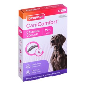 Laisse pour Chien Beaphar                                 Marron