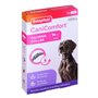 Laisse pour Chien Beaphar                                 Marron