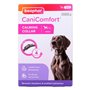 Laisse pour Chien Beaphar                                 Marron