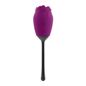 Stimulateur clitoridien Playboy Violet