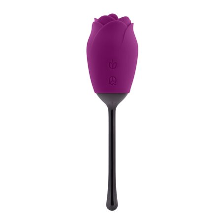 Stimulateur clitoridien Playboy Violet