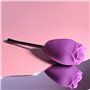 Stimulateur clitoridien Playboy Violet