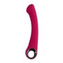 Vibrateur G-Spot Evolved Rouge