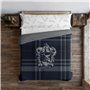 Housse de Couette Harry Potter Classic Ravenclaw 155 x 220 cm Lit 1 persone