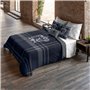 Housse de Couette Harry Potter Classic Ravenclaw 155 x 220 cm Lit 1 persone