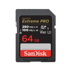 Carte Mémoire SD SanDisk SDSDXEP-064G-GN4IN 64 GB