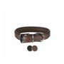 Collier pour Chien Trixie Active Comfort Noir 39-46 cm