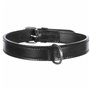 Collier pour Chien Trixie Active Noir 39-46 cm