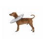 Collier de protection Isabelino pour chiens Trixie Gris (38-42 cm)