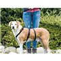 Harnais de guidage pour chien Trixie Stay Noir XS/S