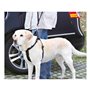 Laisse pour Chien Trixie Friends on Tour Noir 30 cm