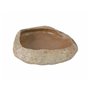 Gamelle Trixie 19 × 5 × 16 CM Reptiles
