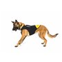 Harnais pour Chien Julius K9 IDC L/XL 2