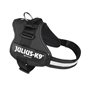 Harnais pour Chien Julius K9 Power Noir L/XL 2