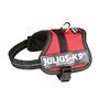 Harnais pour Chien Julius K9 Power Rouge 2 Baby 2 (XS/S)