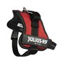 Harnais pour Chien Julius K9 Power Rouge M