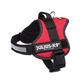 Harnais pour Chien Julius K9 Power Rouge M/L