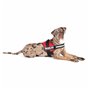 Harnais pour Chien Julius K9 Power Rouge L/XL 2