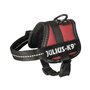 Harnais pour Chien Julius K9 Power Rouge 1 Baby 1 (XS)