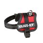 Harnais pour Chien Julius K9 Power Rouge 1 Baby 1 (XS)