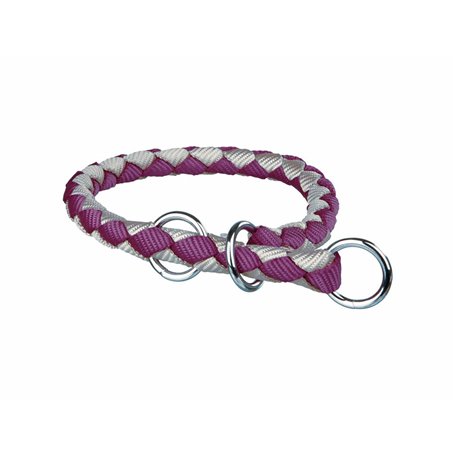 Collier pour Chien Trixie Marron Argenté 25-31 cm 25-31cm 25 x 31 cm