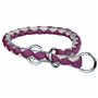 Collier pour Chien Trixie Marron Argenté 25-31 cm 25-31cm 25 x 31 cm