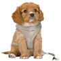 Harnais pour Chien Trixie Junior Gris clair M/L