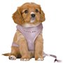 Harnais pour Chien Trixie Junior Lila M/L