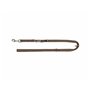 Laisse réglable pour chien Trixie Premium Noisette M/L