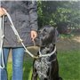 Collier d'entraînement pour chiens Trixie Soft Rope Vert Menthe L/XL 55 cm