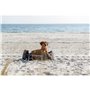 Collier d'entraînement pour chiens Trixie Be Nordic Marron 35 cm