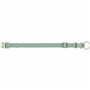 Collier pour Chien Trixie Premium Vert 25-40 cm