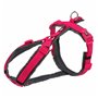 Harnais pour Chien Trixie Premium Trekking Graphite Fuchsia XS/S