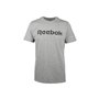 T-shirt à manches courtes homme Reebok GS REEBOK LINEAR READ TEE 100038780 Gris