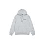 Sweat à capuche homme Champion 220258 NOXM Gris