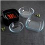 Plat à Gratin Pyrex Airfryer Transparent verre 1 L 20 x 17 cm (10 Unités)