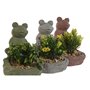 Plante décorative Home ESPRIT Polyéthylène Ciment Grenouille 9 x 9 x 13 cm (3 Unités)