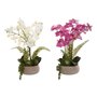 Plante décorative Home ESPRIT Polyéthylène Papier mâché 40 X 35 X 52 cm (2 Unités)