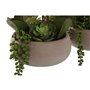 Plante décorative Home ESPRIT Polyéthylène Papier mâché 40 X 35 X 52 cm (2 Unités)