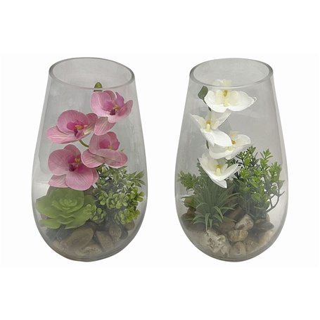 Plante décorative Home ESPRIT PVC Verre 15 x 15 x 25 cm (2 Unités)