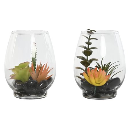 Plante décorative Home ESPRIT PVC Verre 10 x 10 x 15 cm (2 Unités)