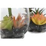 Plante décorative Home ESPRIT PVC Verre 10 x 10 x 15 cm (2 Unités)