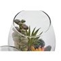 Plante décorative Home ESPRIT PVC Verre 10 x 10 x 15 cm (2 Unités)